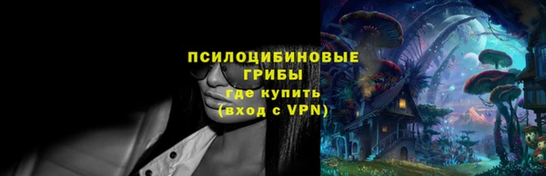 гидра Осташков
