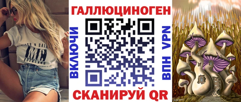 где можно купить   hydra ссылка  Псилоцибиновые грибы Psilocybine cubensis  Полтавская 